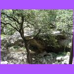 Natural Bridge Caverns.jpg